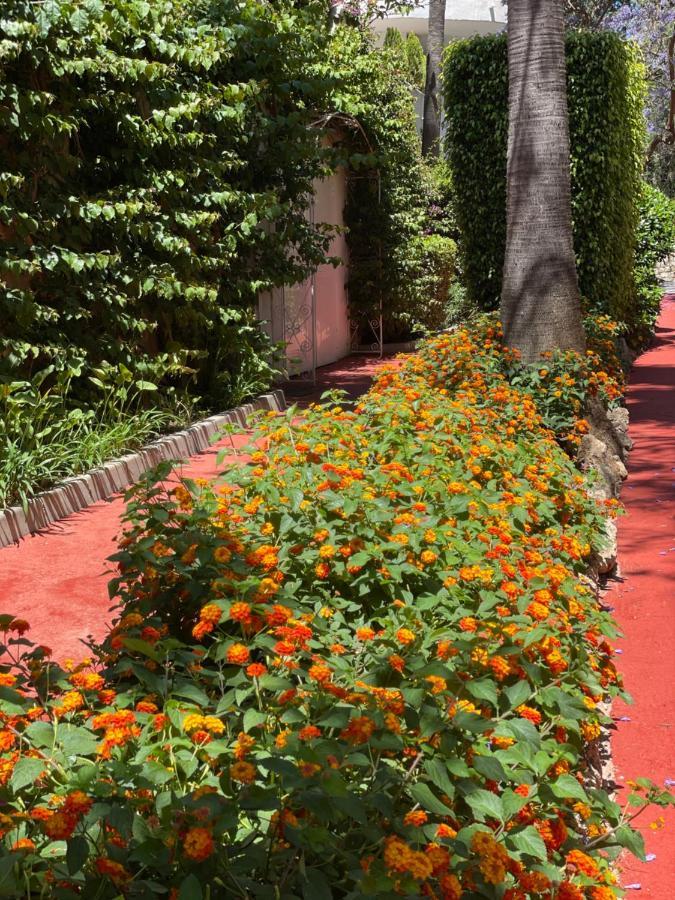 Marbella Real Golden Mile -Eaw Homes المظهر الخارجي الصورة